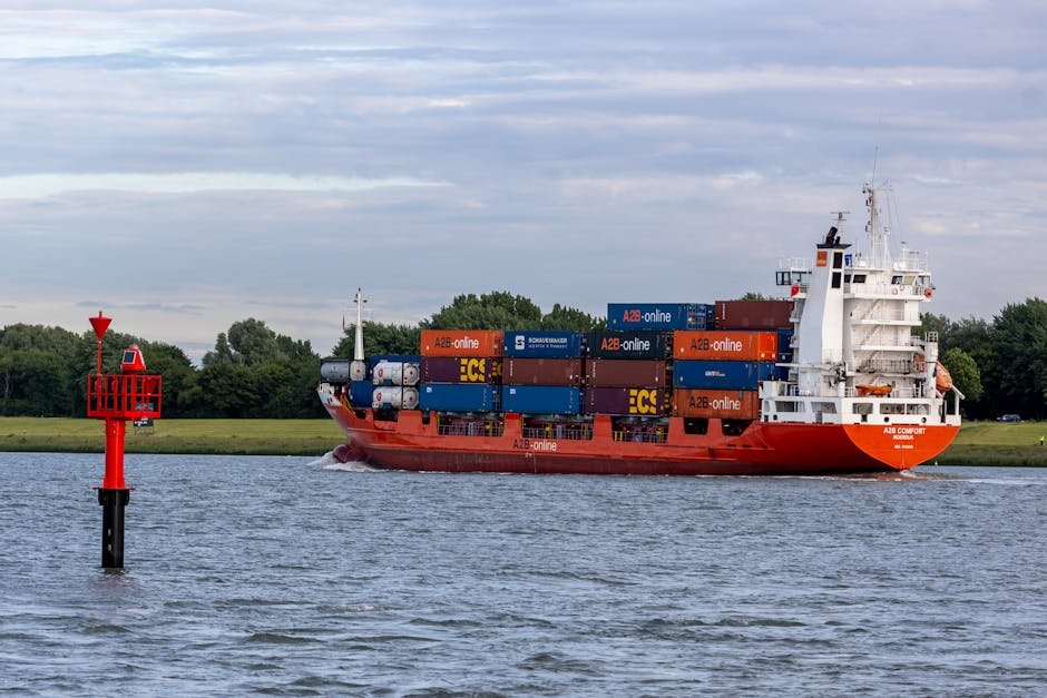 Por qué estudiar Comercio internacional